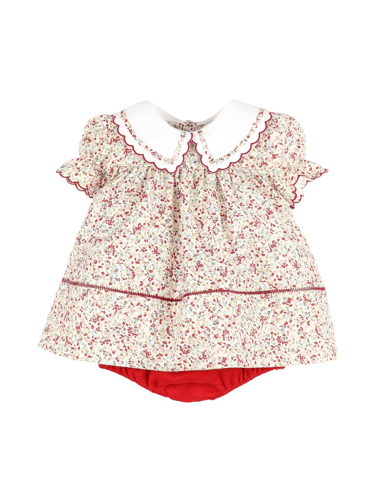 Cranberry Crush Printed Dress